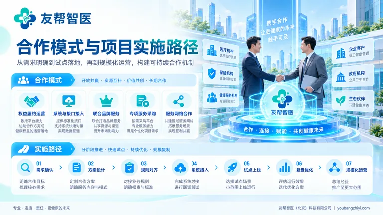 合作模式与项目实施示意图，展示需求确认、方案设计、规则对齐、系统接入、试点与复盘